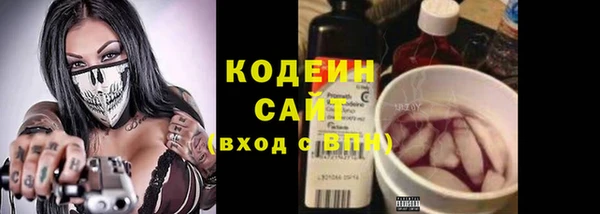 соль ск Лиски