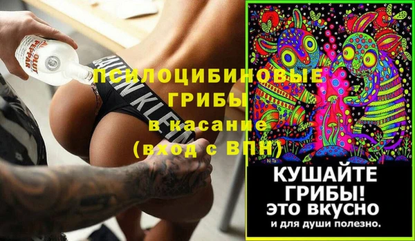 соль ск Лиски